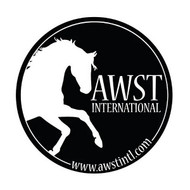 AWST International